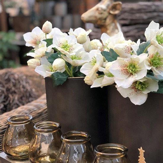 Schnickschnack bei Blumen Buschmann