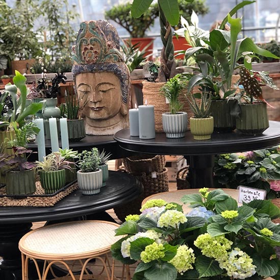 Schnickschnack bei Blumen Buschmann