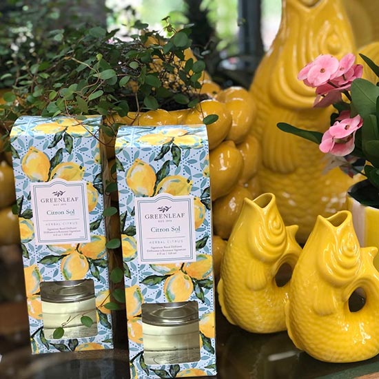 Schnickschnack bei Blumen Buschmann