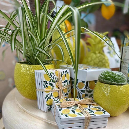 Schnickschnack bei Blumen Buschmann