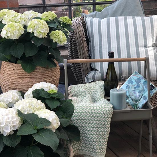 Schnickschnack bei Blumen Buschmann